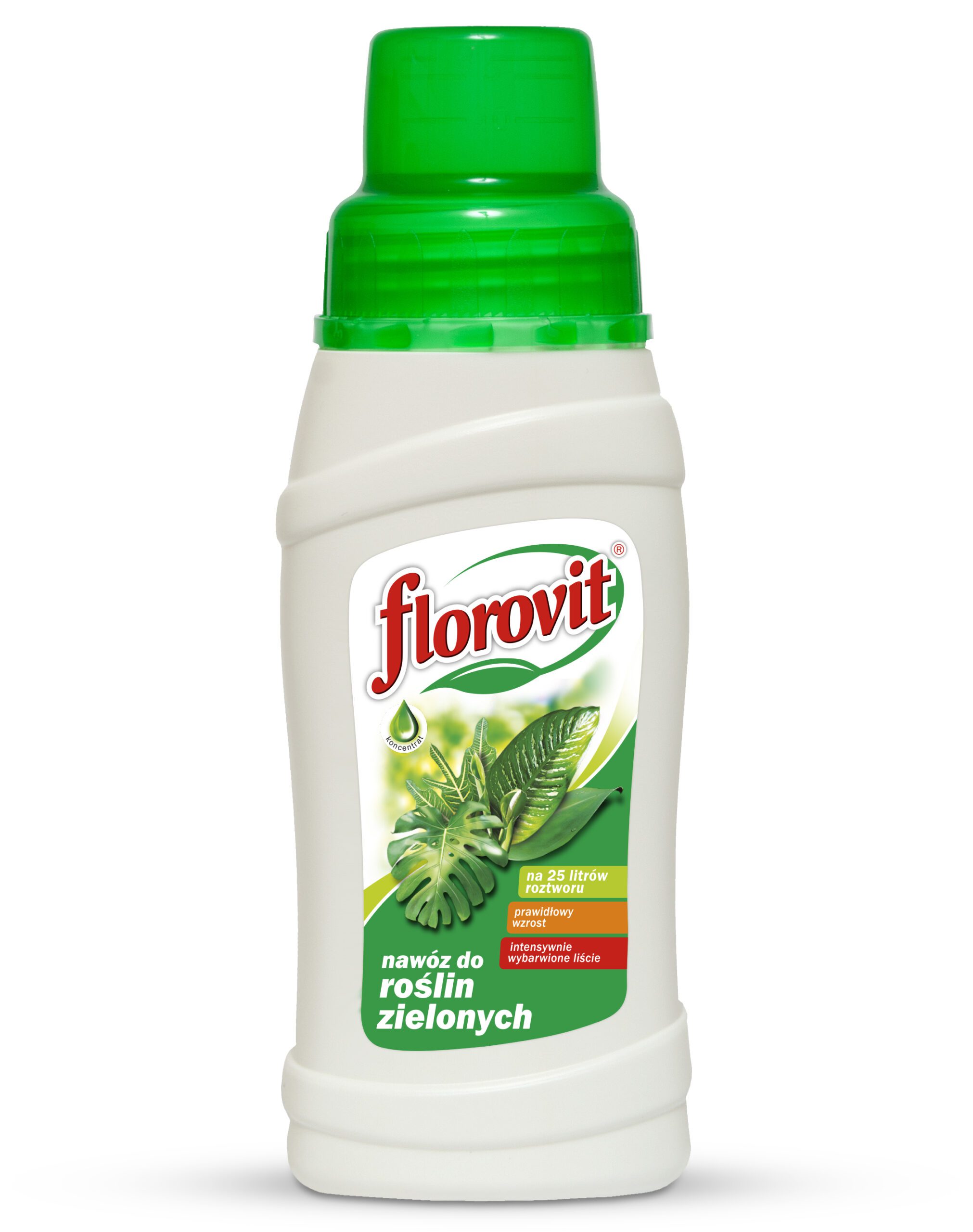 Florovit nawóz do roślin zielonych 0,25 kg
