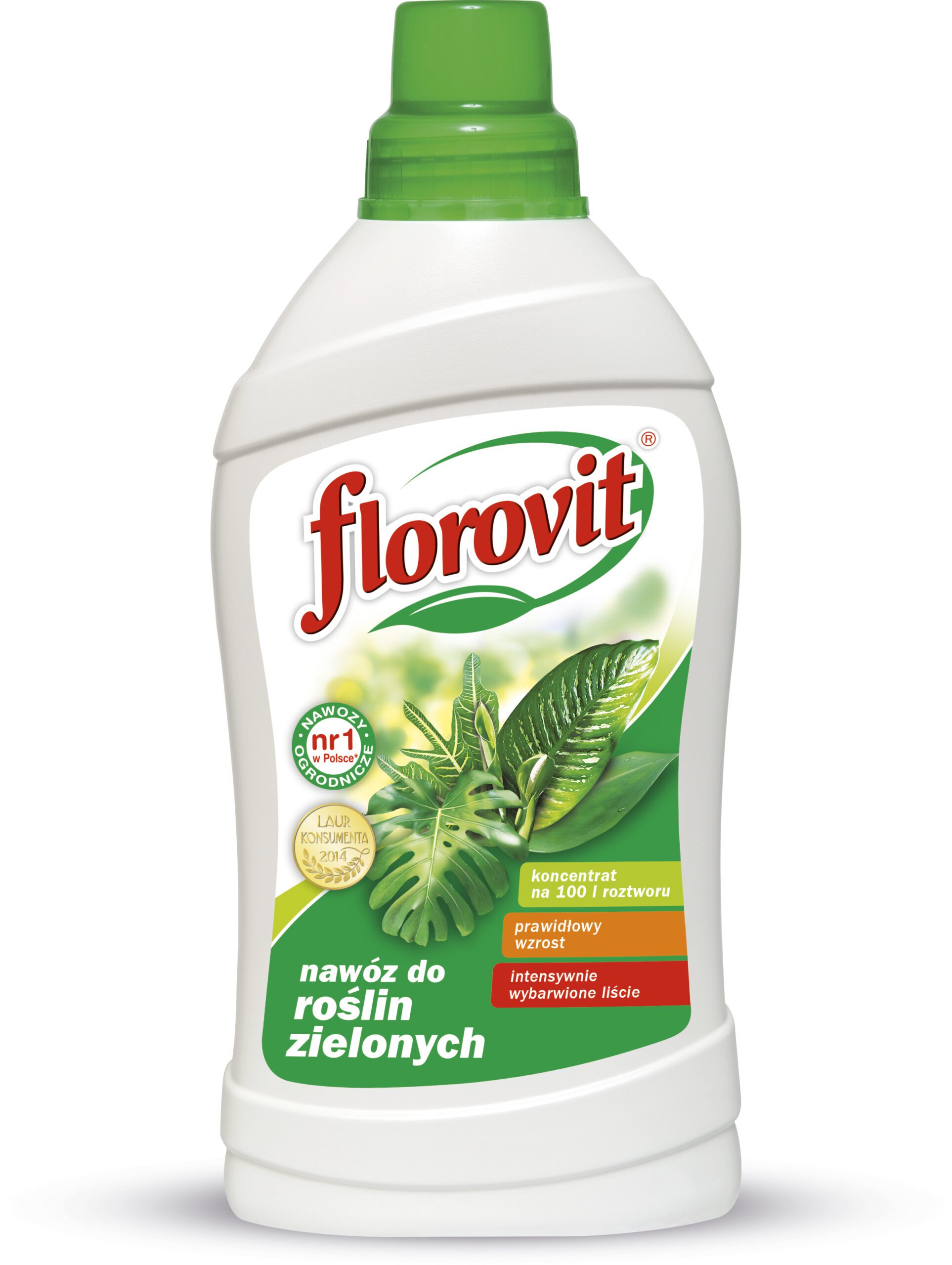 Florovit nawóz płynny do roślin zielonych 1kg