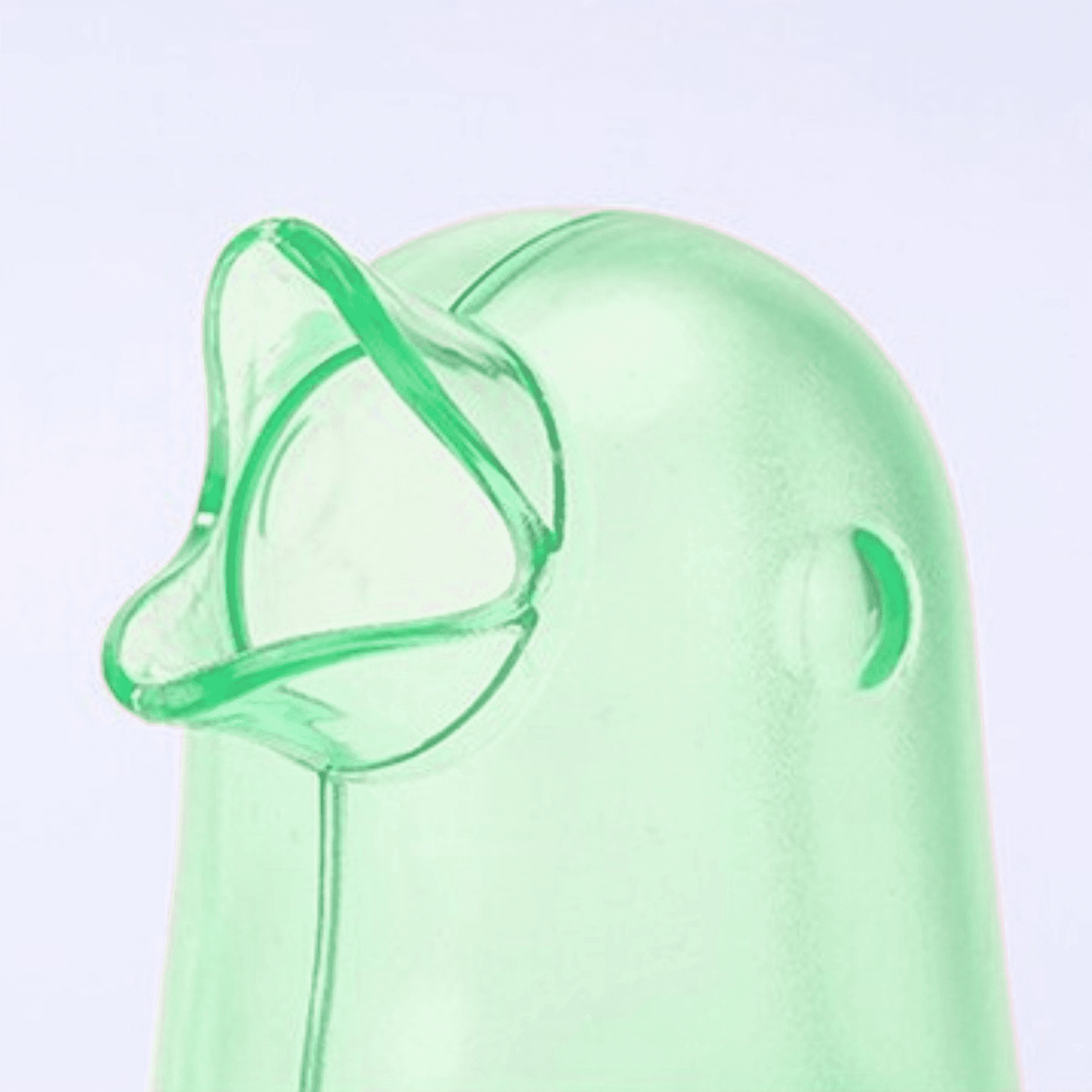 Nawadniacz do kwiatów automatyczny EVI HOME zielony - obrazek 8