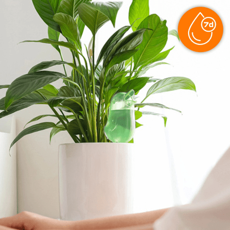 Nawadniacz do kwiatów automatyczny EVI HOME zielony - obrazek 16